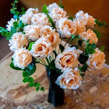 Julia Przy Plazy * Międzyzdroje